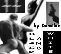 Collage by Donnilee
