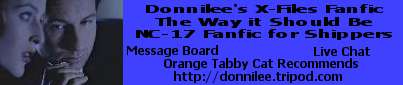 Banner by Donnilee