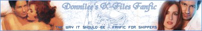 Banner by FBrouwer