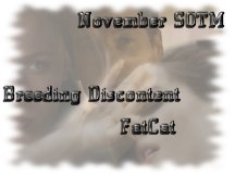 Story of the Month - Nov. '02