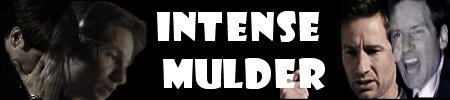 INTENSE MULDER FICS